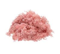 QUARKZMAN Musgo de Reno Preservado 4 OZ Musgo Falso para Manualidades Musgo Seco Artificial para Decoración Manualidades Terrarios Plantas en Maceta Centros de Mesa (Rosa Claro)