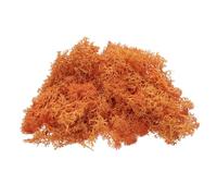 QUARKZMAN Musgo de Reno Preservado 4 OZ Musgo Falso para Manualidades Musgo Seco Artificial para Decoración Manualidades Terrarios Plantas en Maceta Centros de Mesa (Naranja)