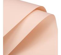 QUARKZMAN Papel de Envoltura de Flores de Película Nacarada 58x58 cm Impermeable para Manualidades, Empaque de Regalos/Cajas de Regalo Crema Rosa Paquete de 10