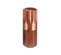 QUARKZMAN Punta De Destornillador M12 Torx Vástago Hexagonal De 10mm | Longitud De 30mm Acero S2 Seguridad A Prueba De Manipulación Cabeza De 12 Puntas Puntas De Destornillador Hexagonal