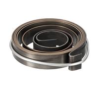 QUARKZMAN Resorte de Taladradora de Retorno de Alimentación de Husillo Conjunto de Resorte de Acero Con Negro Acabado Extendida 1100mm Diámetro de 45 x 10 x 0.8mm 1 Pieza