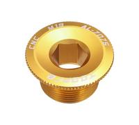 QUARKZMAN Tornillo De Cubierta De Biela para Bicicleta M19 Aleación De Aluminio Tornillo De Fijación De Biela para Bicicleta Biela Plato Tornillos para Bicicleta De Montaña Dorado