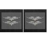 Quattroerre Villa D '15732 Pegatinas Recortadas en Forma supersagomati para Coche Tipo Fast & Furious, Plata, 10 x 12 cm (Paquete de 2)
