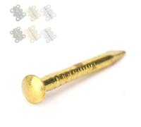 Qudinip Clavo de Cabeza Redonda de Latón de 10mm/15mm/18mm/22mm, Accesorios de Hardware Duraderos para Bisagras de Muebles, Paquete de 100 Uds. (15 mm de largo)