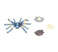 Qudinip Modelo de Ciclo de Crecimiento de Araña, Juguete Educativo para Que los Niños Exploren los Ciclos de Vida, Juego de Plástico de 4 Piezas