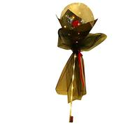 Qudinip Ramo de Rosas con Globos Luminosos con Luces LED y Materiales Ecológicos para Regalos de San Valentín y Ocasiones Especiales (Roja)
