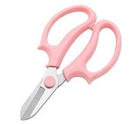 Qudinip Tijeras de Floristería Pequeñas y Ligeras para Horticultura Fabricadas en Acero Inoxidable con Hojas Incisivas y Agarre Cómodo (Rosa)