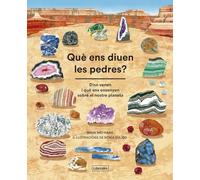 Què ens diuen les pedres? (Imagina)