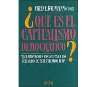 ¿Qué es el capitalismo democrático? (SIN COLECCION)