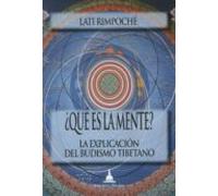 ¿que Es La Mente?: La Explicacion Del Budismo Tibetano