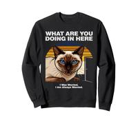 ¿Qué estás Haciendo aquí Ansiious Siamese Cat Sudadera