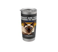 ¿Qué estás haciendo aquí Ansiious Siamese Cat Vaso térmico de acero inoxidable de doble pared