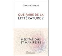 Que Faire De La Litterature ?