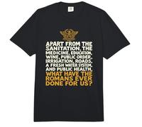¿Qué han Hecho los Romanos por Nosotros? Divertido Comfort Colors Adult Heavyweight T-Shirt
