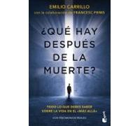 ¿que Hay Despues De La Muerte?