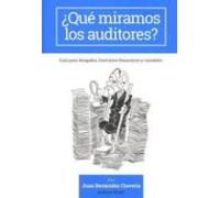 ¿qué Miramos Los Auditores?