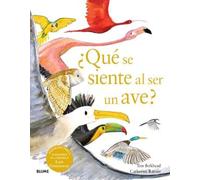 ¿Qué se siente al ser un ave?