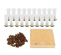 Queen Bee Rearing System - Caja de cría de plástico, kit de copa de celda de cría, equipo de apicultura, juego de herramientas para guardián de abejas