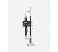 QUEENBRASS Trompeta BB para estudiantes y adultos, acabado lacado plateado y negro, instrumento de viento de latón con boquilla y estuche rígido para aprendizaje y práctica de banda