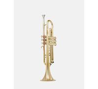 QUEENBRASS Trompeta estándar en tono Bb - Acabado de latón completo con detalles de válvula roja | Instrumento de viento de latón con boquilla y funda para principiantes y estudiantes