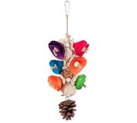 QUEENYARD Colorido juguete molar de loro creativo divertido para colgar en jaulas de interior, picos de pájaros, molienda, rompecabezas natural para pájaros