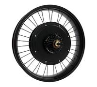 Queeucaer 20 pulgadas rueda trasera E-Bike Conversion, kit de conversión de bicicleta eléctrica, kit de conversión de bicicleta eléctrica, 48 V 1000 W