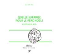 Quelle Surprise Pour Le Père Noël (ebook)