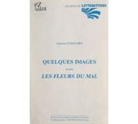 Quelques Images Dans Les Fleurs Du Mal (ebook)