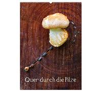 Quer durch die Pilze (Wandkalender 2026 DIN A2 hoch), CALVENDO Monatskalender: Pilze - Farbkleckse in Wald und Wiese