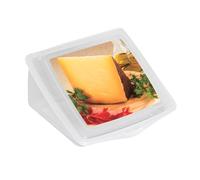 Quesera para guardar el queso fabricada en plástico polipropileno libre de BPA | Mide 13x13 cm | Recipiente para guardar el queso en la nevera de forma cómoda y segura | LIBRE DE BPA (1 Quesera)