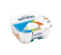Queso fresco Burgos natural Hacendado 4 tarrinas x 62,5 g Pack 2