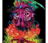 Quest For Fire Lights from Paradise (CD) Album