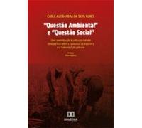 Questão Ambiental E Questão Social (ebook)