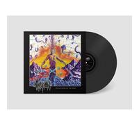 Question - Reflections of the Void [Vinilo]