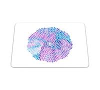 Questo Casa Pop Art Style Manteles Individuales de 2 Piezas Anti Moho Secado rápido Resistente a Las Manchas Lavable a máquina% 100 Manteles Individuales de poliéster (32 cm x 42 cm)