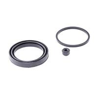 QUICK BRAKE 114-0023 Juego de reparación pinza de freno Compatible con PEUGEOT 208 I Hatchback CA, CC 2008 I A94, CU, OPEL Corsa D Hatchback S07, CITROËN C3 II SC, FIAT 500 312