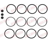 QUICK BRAKE Kit de Reparación Pinza Freno Delantero Izquierdo Derecho para Ford