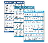 QuickFit Juego de 3 pósteres de entrenamiento con mancuernas + ejercicios de peso corporal + rutina de estiramiento, juego de 3 tablas de entrenamiento (laminadas, 18 x 27 pulgadas)