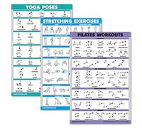 QUICKFIT Juego de 3 posturas de yoga + ejercicios de estiramiento + alfombrilla de pilates para trabajo - Juego de 3 tablas de entrenamiento (laminado, 18 x 27 pulgadas)