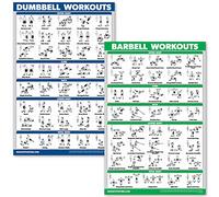 QUICKFIT Juego de pósteres de ejercicios con mancuernas y ejercicios de barra, juego de 2 tablas laminadas, rutina de ejercicio con mancuernas y entrenamientos con pesas (18 x 27 pulgadas)