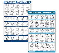 QUICKFIT Juego de pósteres de ejercicios con mancuernas y ejercicios de peso corporal, juego de 2 tablas laminadas, rutina de ejercicios con mancuernas y entrenamientos de peso corporal (18 x 27
