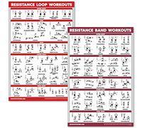 QUICKFIT Paquete de 2 carteles de entrenamiento con bandas de resistencia y bucles de resistencia, juego de 2 tablas laminadas, tubos y bucles de banda de resistencia (laminado, 18 x 24 pulgadas)
