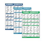QuickFit Paquete de 3 ejercicios con mancuernas + ejercicios de peso corporal + póster de rutina con barra - Juego de 3 tablas de entrenamiento (Laminado, 18 x 27 pulgadas)