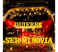 Quieres Ser Mi Novia - Juego de letras iluminadas que proponen decoraciones incluye 17 letras de luz LED y 1000 pétalos de rosa adornos para el día de San Valentín