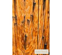 Quiet Field: Forged Grain: A Notebook for Strong Thoughts, Honest Writing, and Life Built Over Time