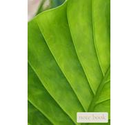 Quiet Field: Green Breath: A Calming Notebook for Clear Thoughts, Gentle Focus, and Natural Flow