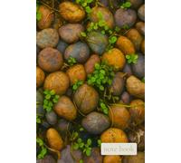 Quiet Field on Solid Ground: A Steady Notebook for Reflection, Patience, and Growing One Thought at a Time