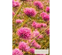 Quiet Field: Pink Meadow: A Gentle Notebook for Everyday Thoughts, Calm Focus, and Simple Joy