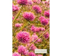Quiet Field: Pink Meadow: A Gentle Notebook for Everyday Thoughts, Calm Focus, and Simple Joy