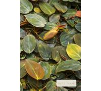 Quiet Field: Soft Green Leaves: A Minimal Notebook for Calm Thoughts, Writing, and Daily Notes